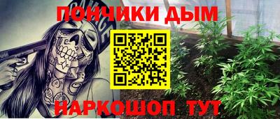 гашик Камышлов