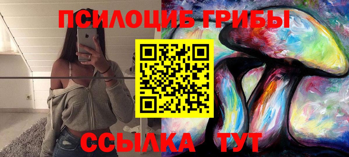 Псилоцибиновые грибы прущие грибы  Галлюциногенные грибы Psilocybine cubensis  Вход с VPN  Ленинск-Кузнецкий 