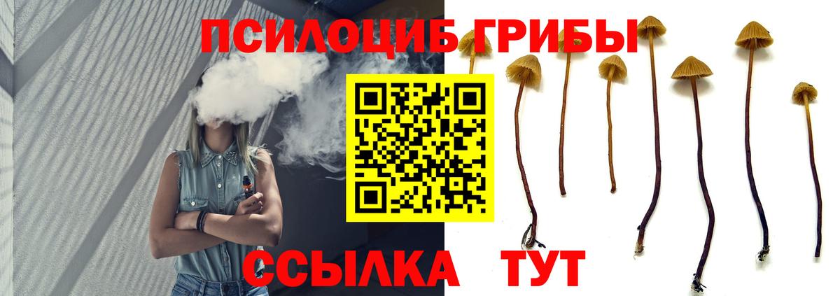 Псилоцибиновые грибы Cubensis Ленинск-Кузнецкий