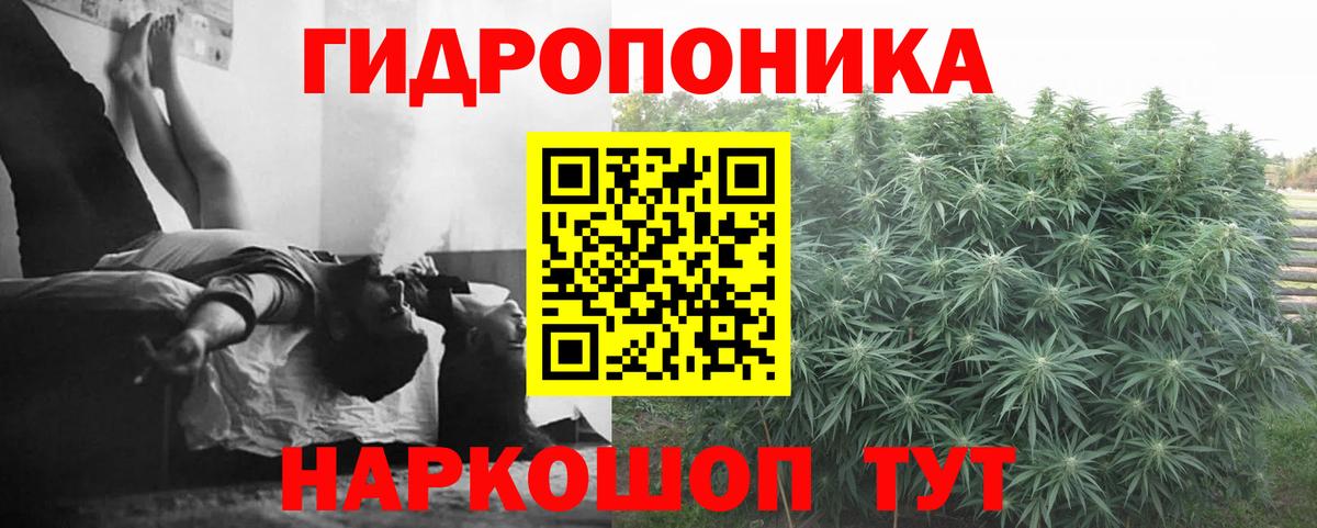 Каннабис THC 21%  Вход с VPN  Конопля план  Ленинск-Кузнецкий 